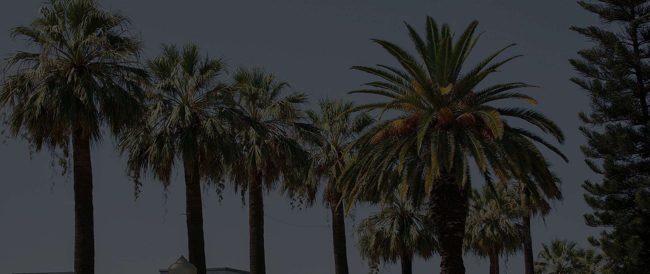 Form Background